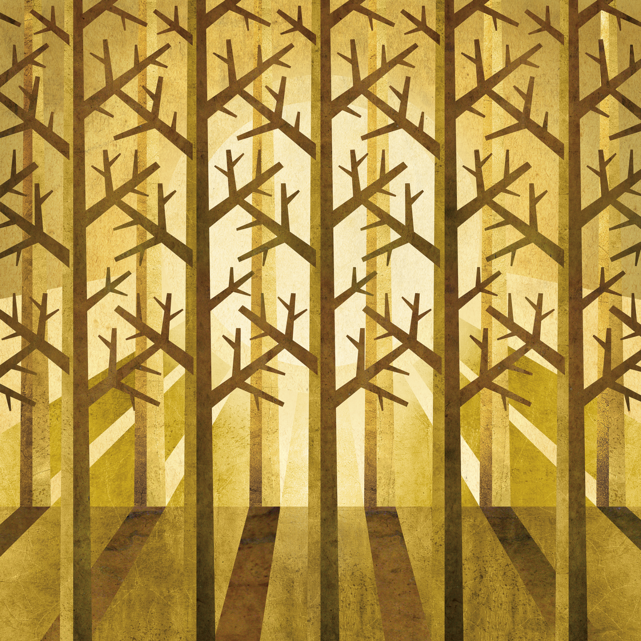 The Forest / Black Rivers
