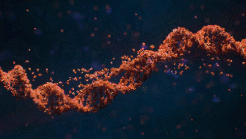 DNA Sonata 2
