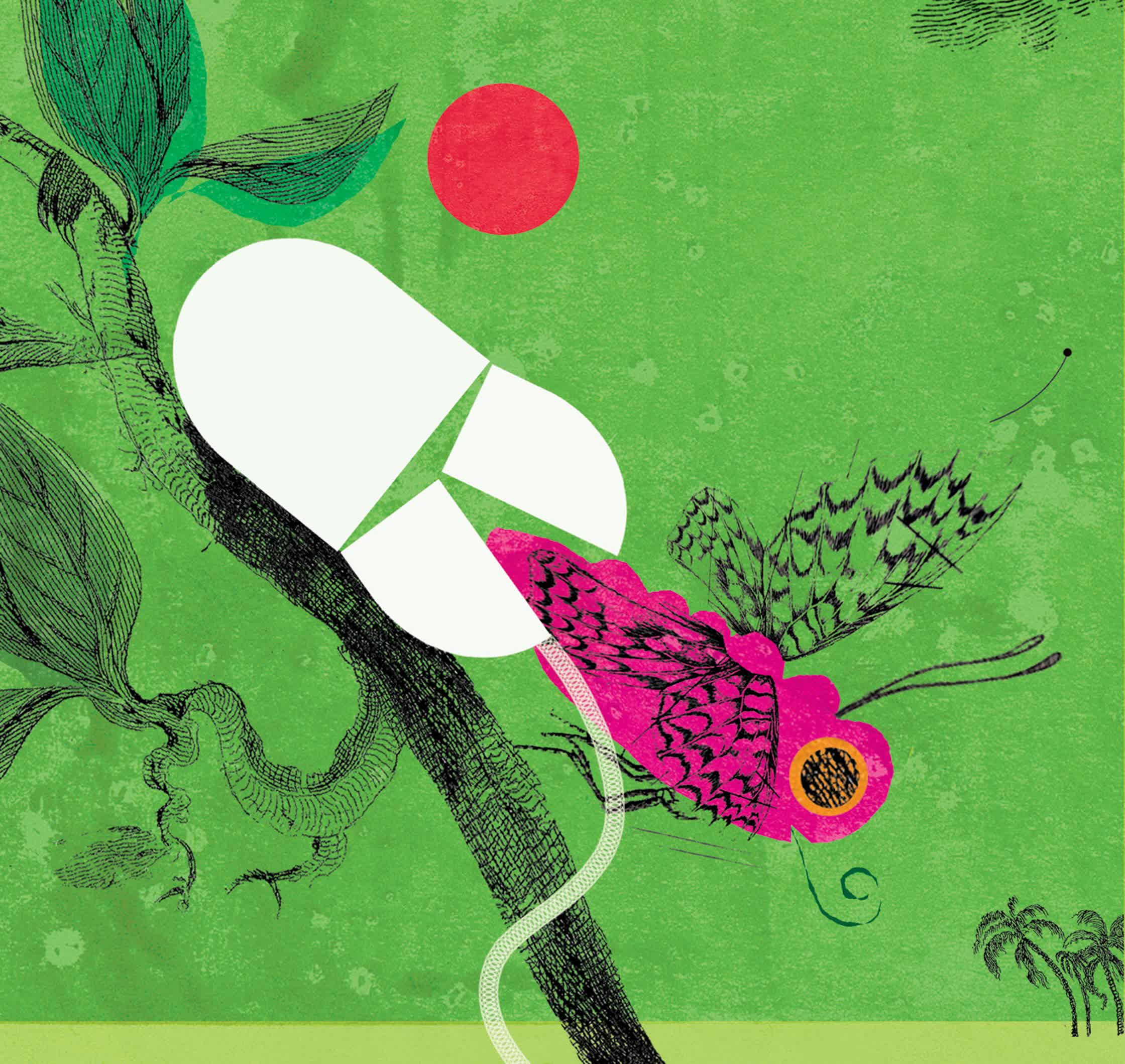 Metamorphosis - Guardian Newspaper.jpg