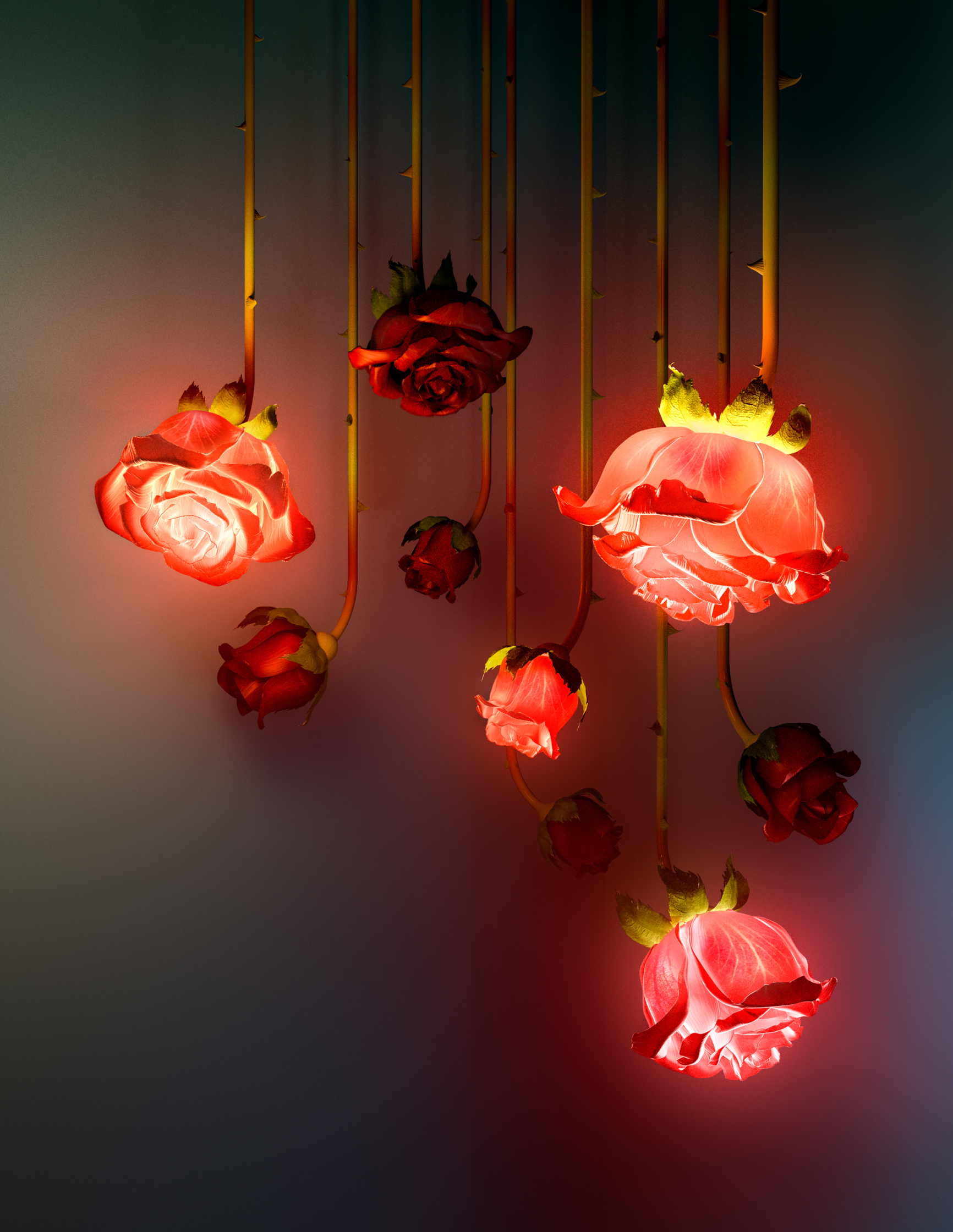 Final rose cover just image.jpg