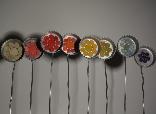 Rainbow Flowers