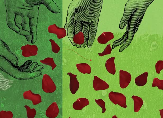Petal throwing - Guardian Newspaper.jpg