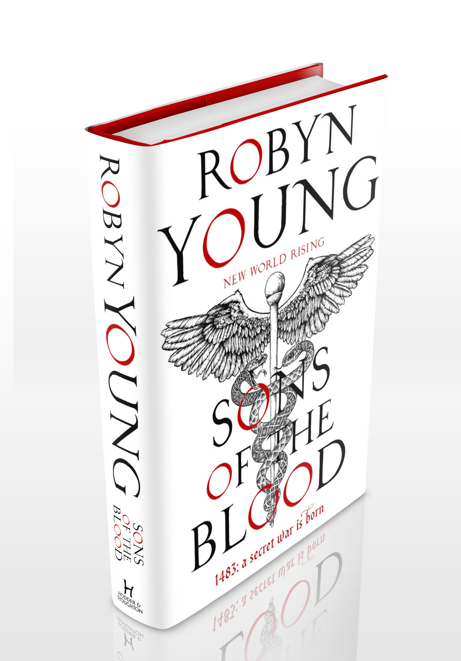 SoB Book Cover_Final Mock Up_1.jpg