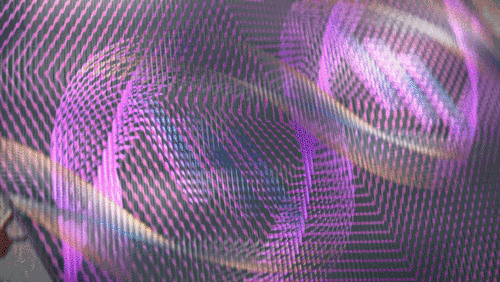 86205_processed