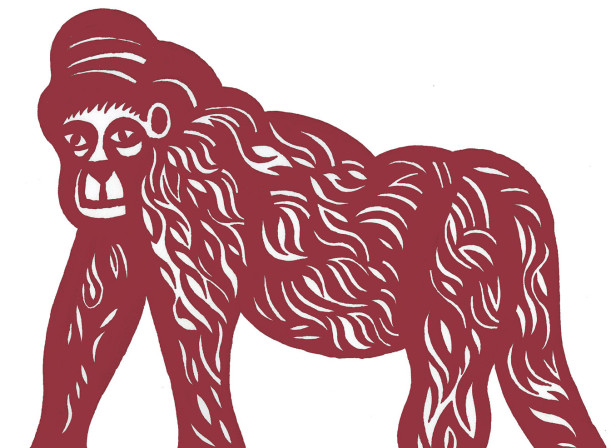 Gorilla