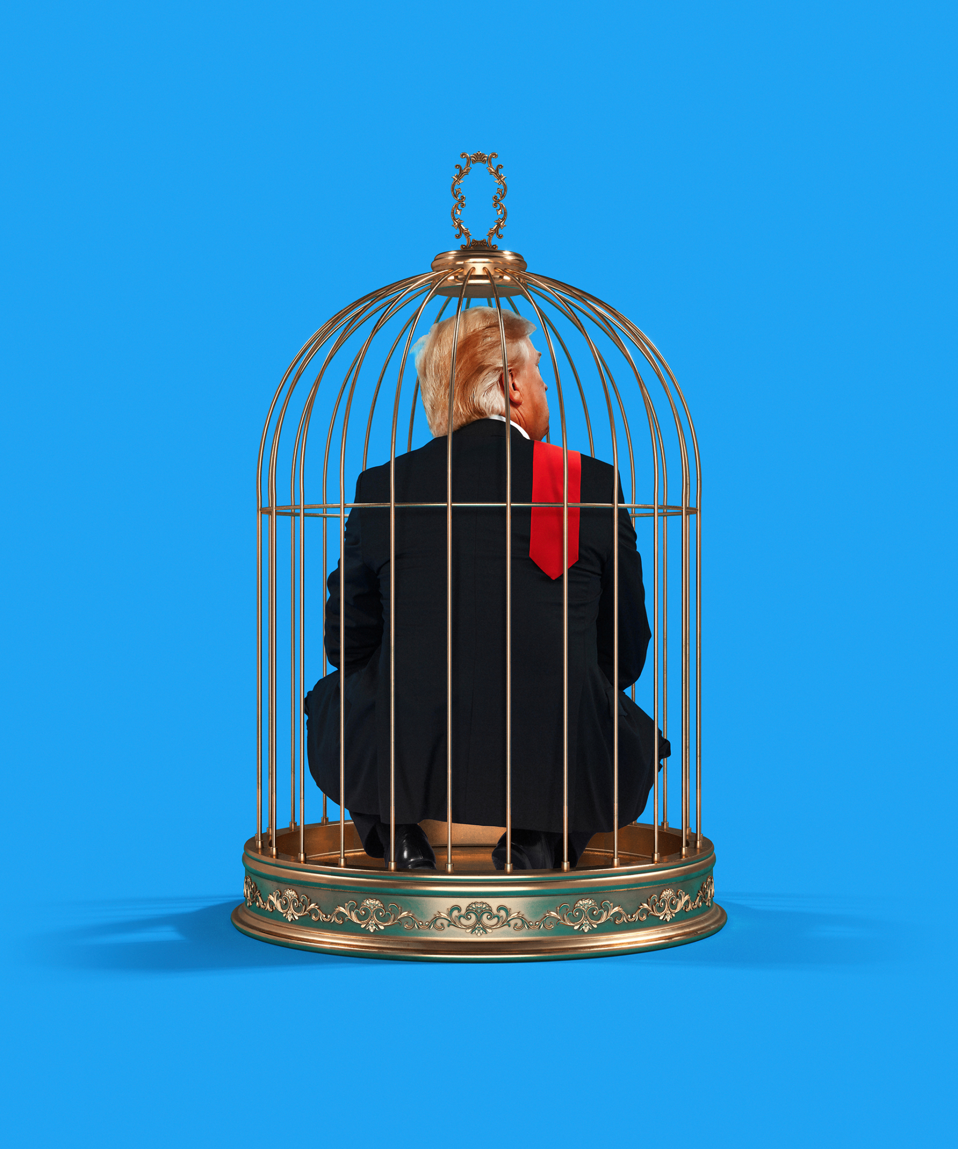 Twitter_Trump_BBW.jpg