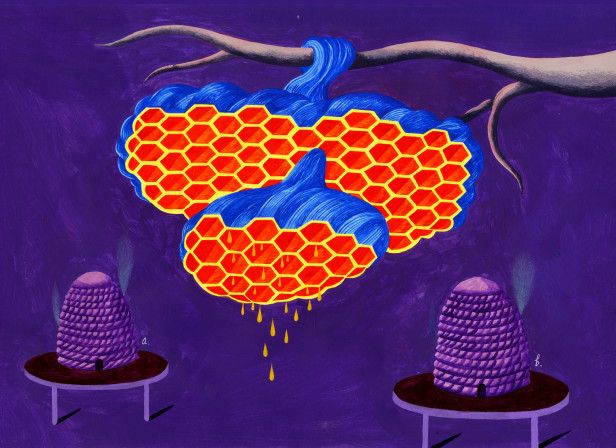 Amber Nectar