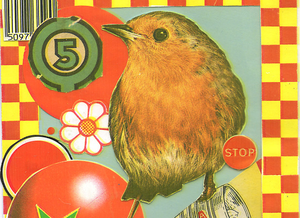 winter holiday xmas robin.jpg