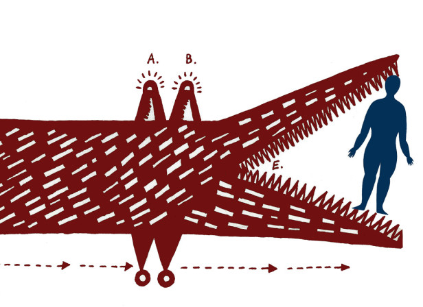 Crocodile