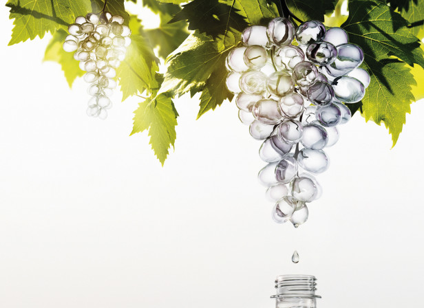 fruit 2o