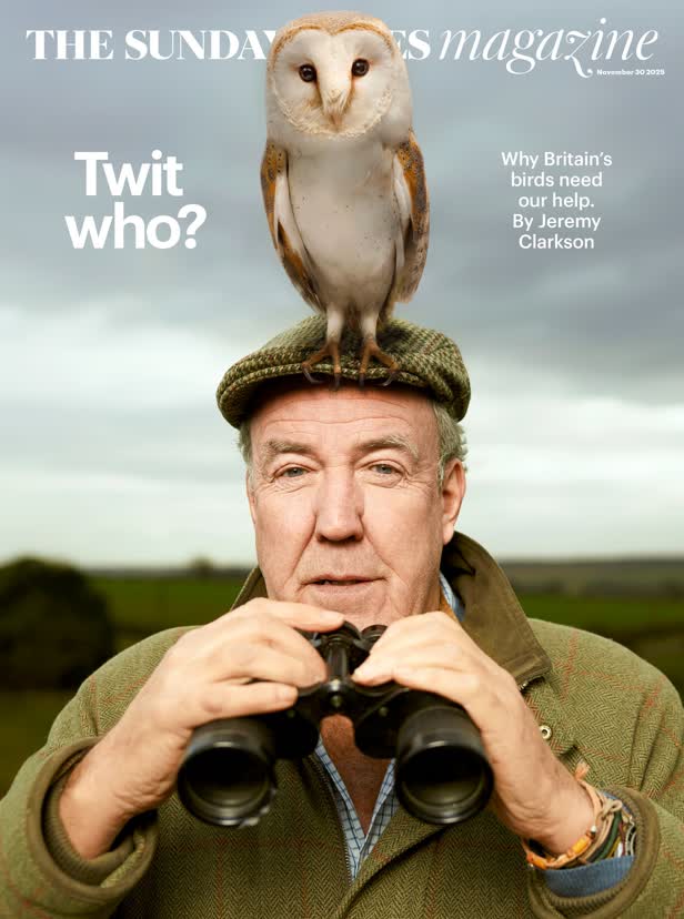 Bird help cover / Sunday Times Magazine