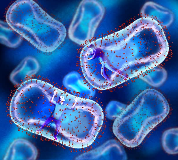 MonkeyPox_AprilCover_TheLancetInfectiousDiseases.jpg