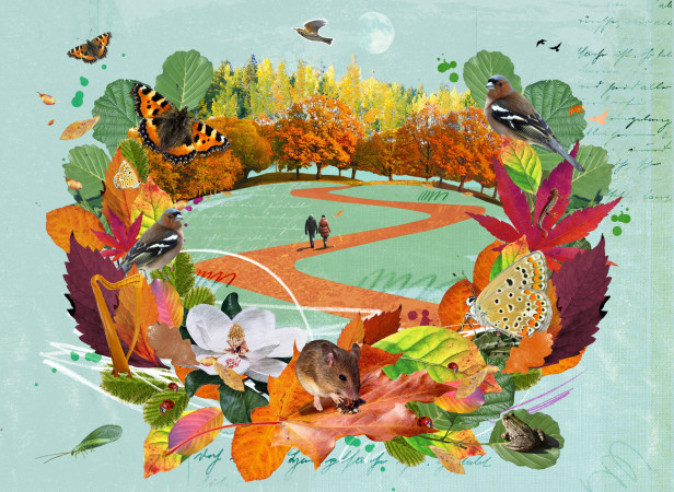 sarah-hanson-woodland-quest-for-quietness-financial-times.jpg