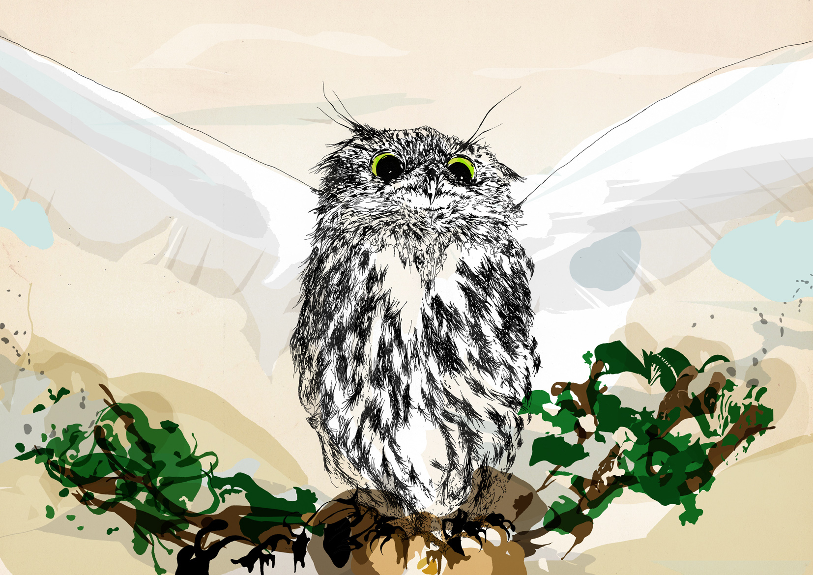 Owl