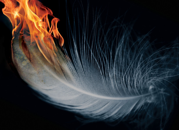 Fire &amp; Flood Cover Scholastic