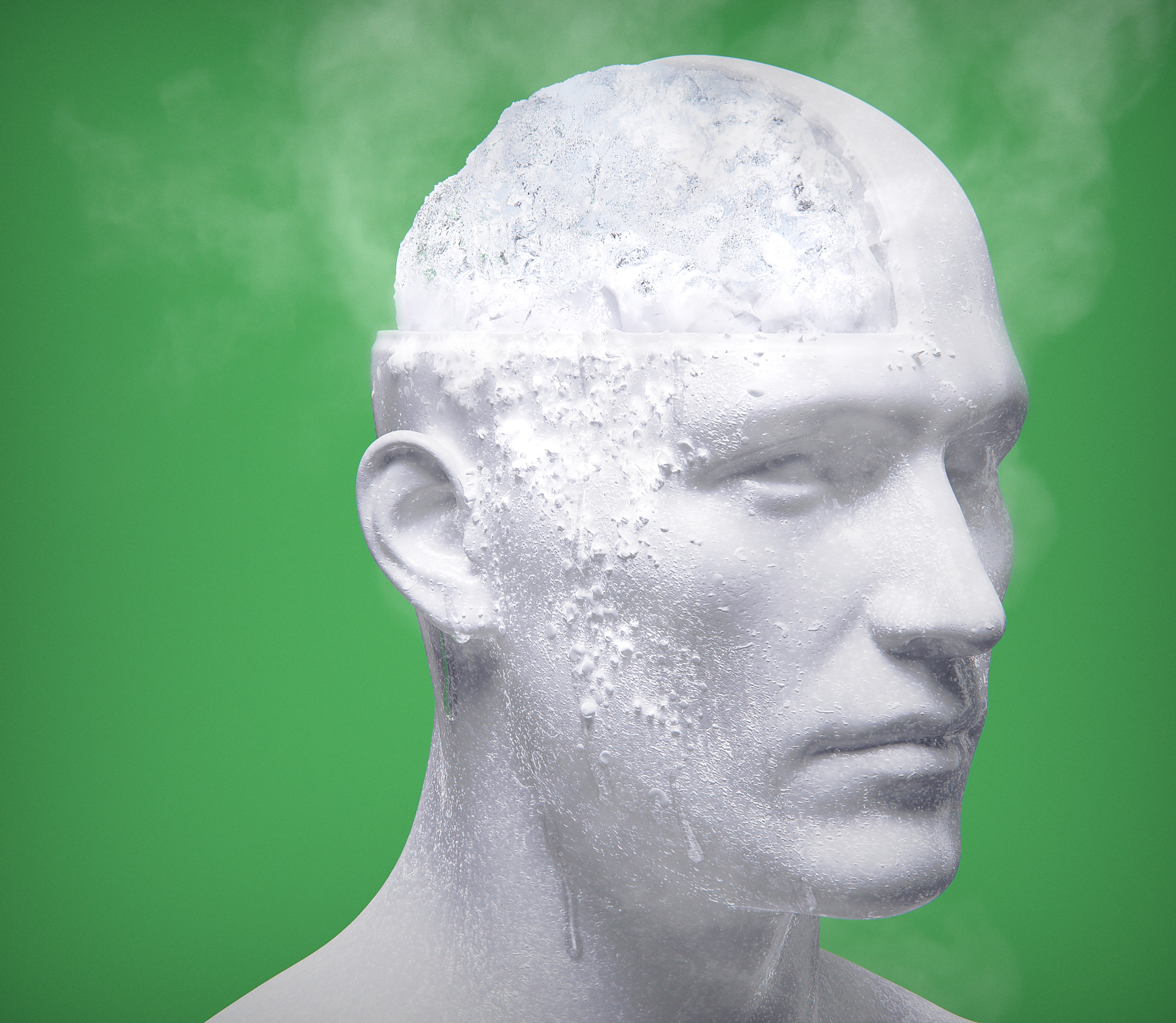 IceBrain_HighResV2_RGB.jpg