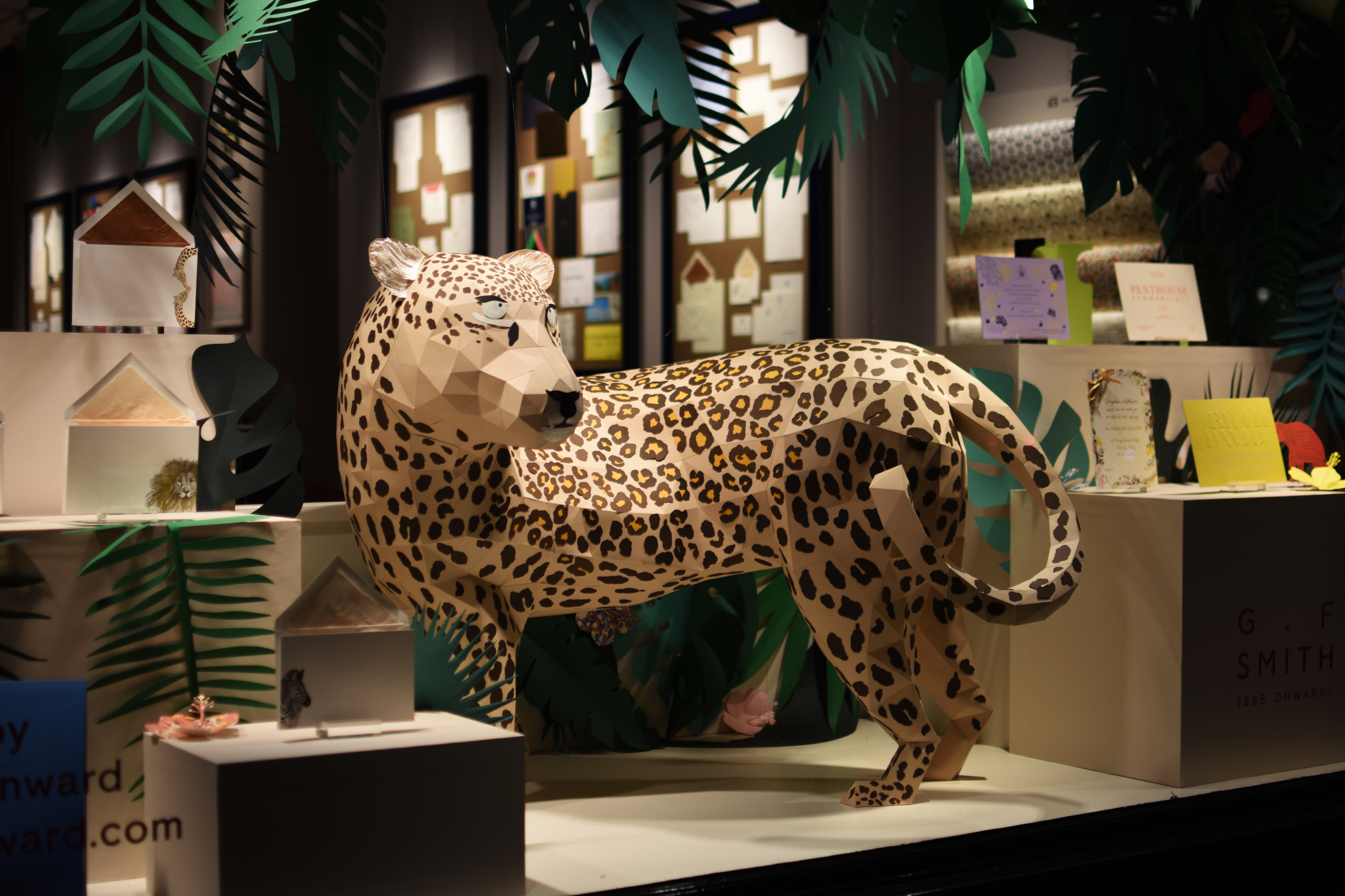 LEOPARD DSC_1826 EDIT.jpg