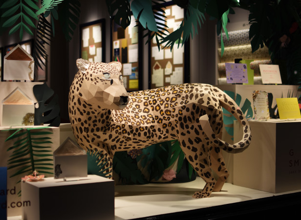LEOPARD DSC_1826 EDIT.jpg