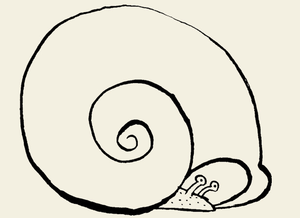 Streich-linedrawing-at-home.jpg