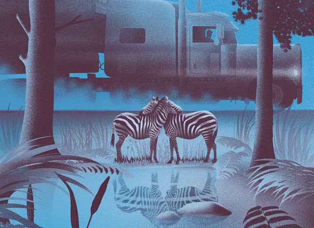 THEWASHINGTONPOST_OCTOBER2023_RUNAWAY ZEBRAS_iiiii.jpg