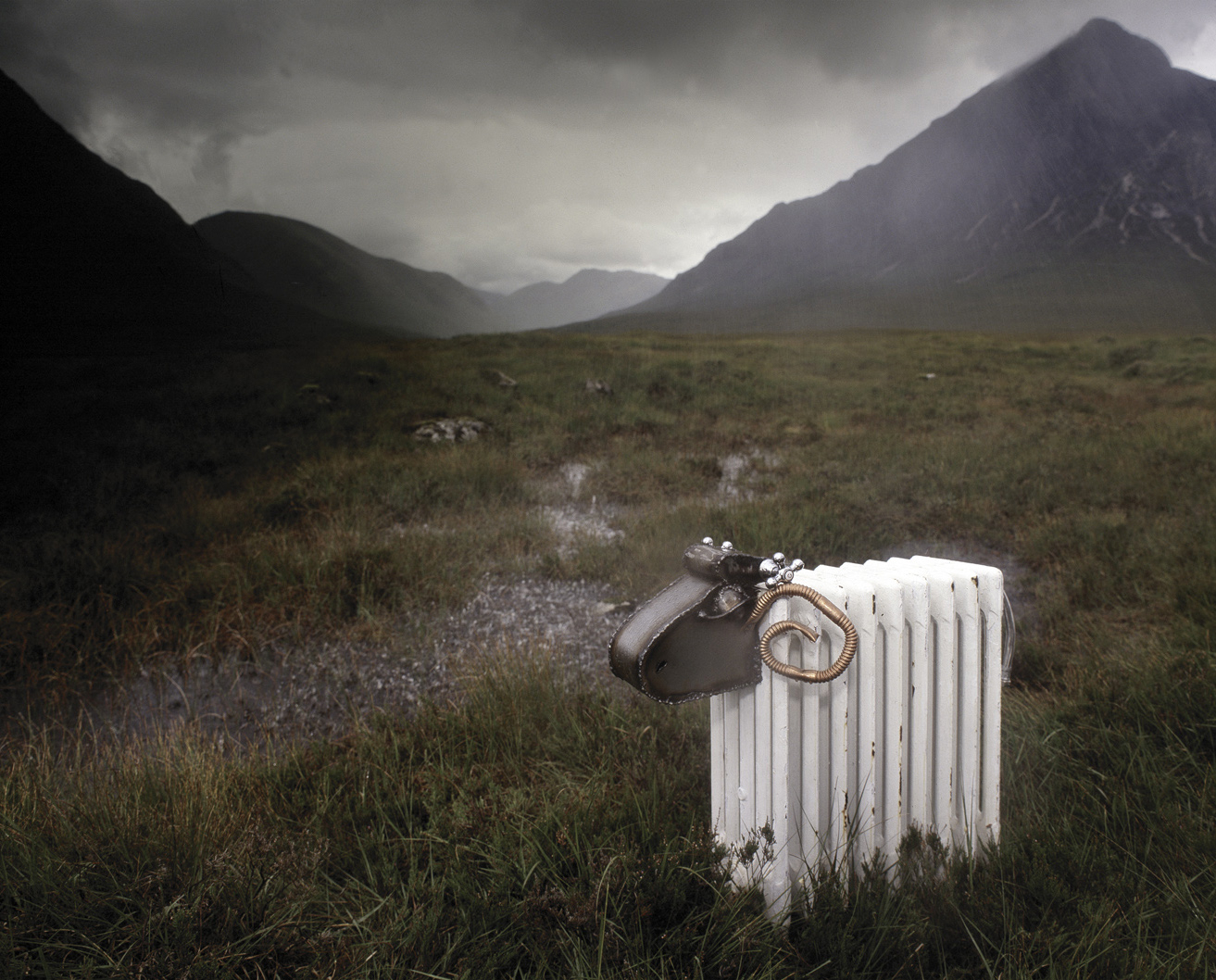 Sheep Swaandri Ad Campaign NZ