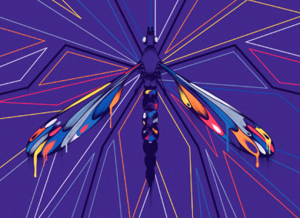 Crane Fly