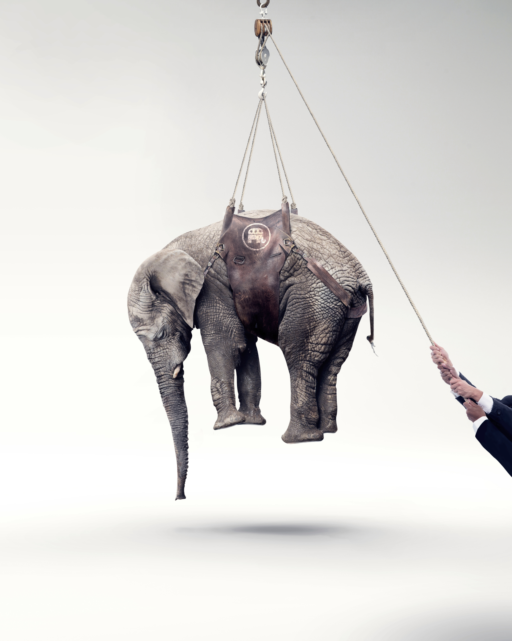 Fortune Elephant_TimeInc.jpg