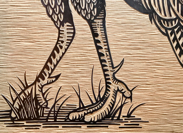 WildTurkey-Woodcut.jpg
