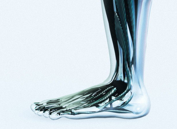 Leg Muscles / Mens Health Magazine