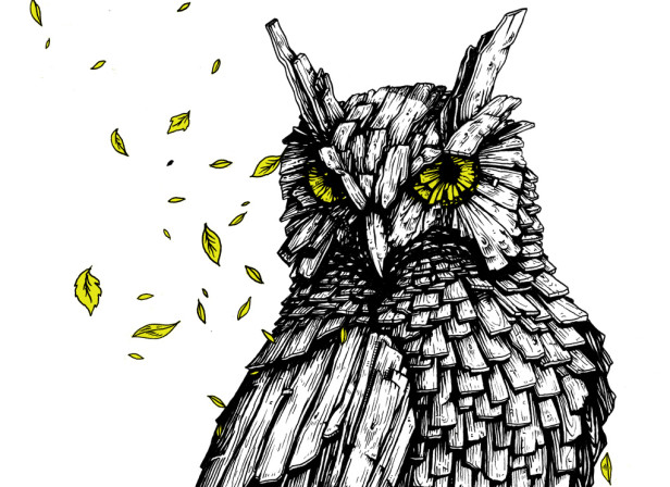 Gary The Owl