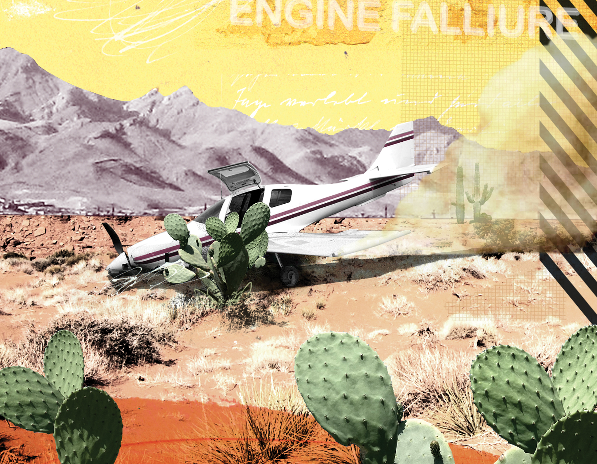 Hanson_AOPA_Never Again_Desert Decision_HRF cmyk.jpg