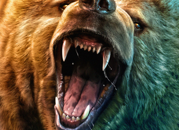 Grizzly