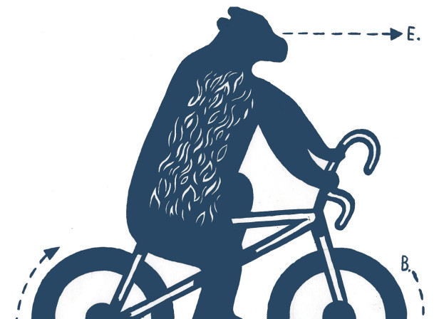 Bear On A Bike