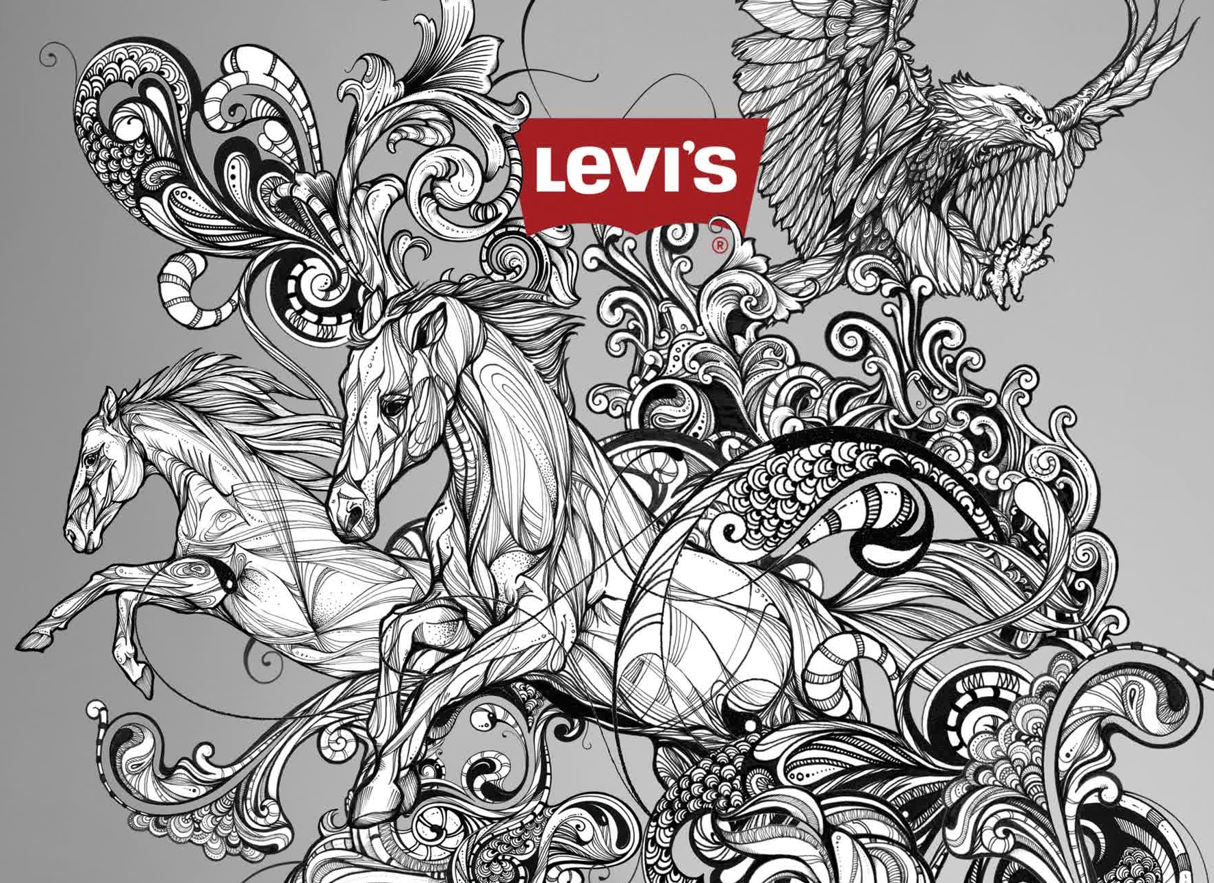 Levis_Personal Project.jpg