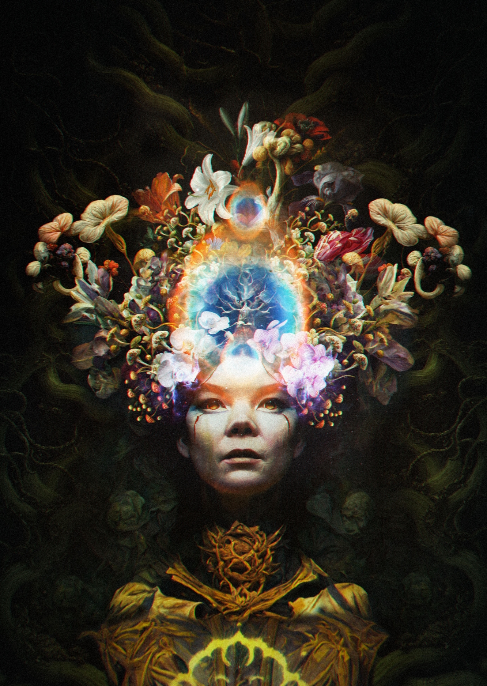 BJORK MOJO - CHRIS NURSE.jpg