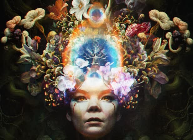 BJORK MOJO - CHRIS NURSE.jpg