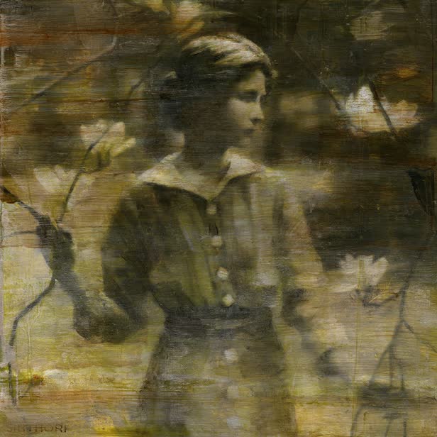 Magnolia III.jpg