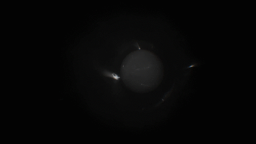 Pulsar.mp4