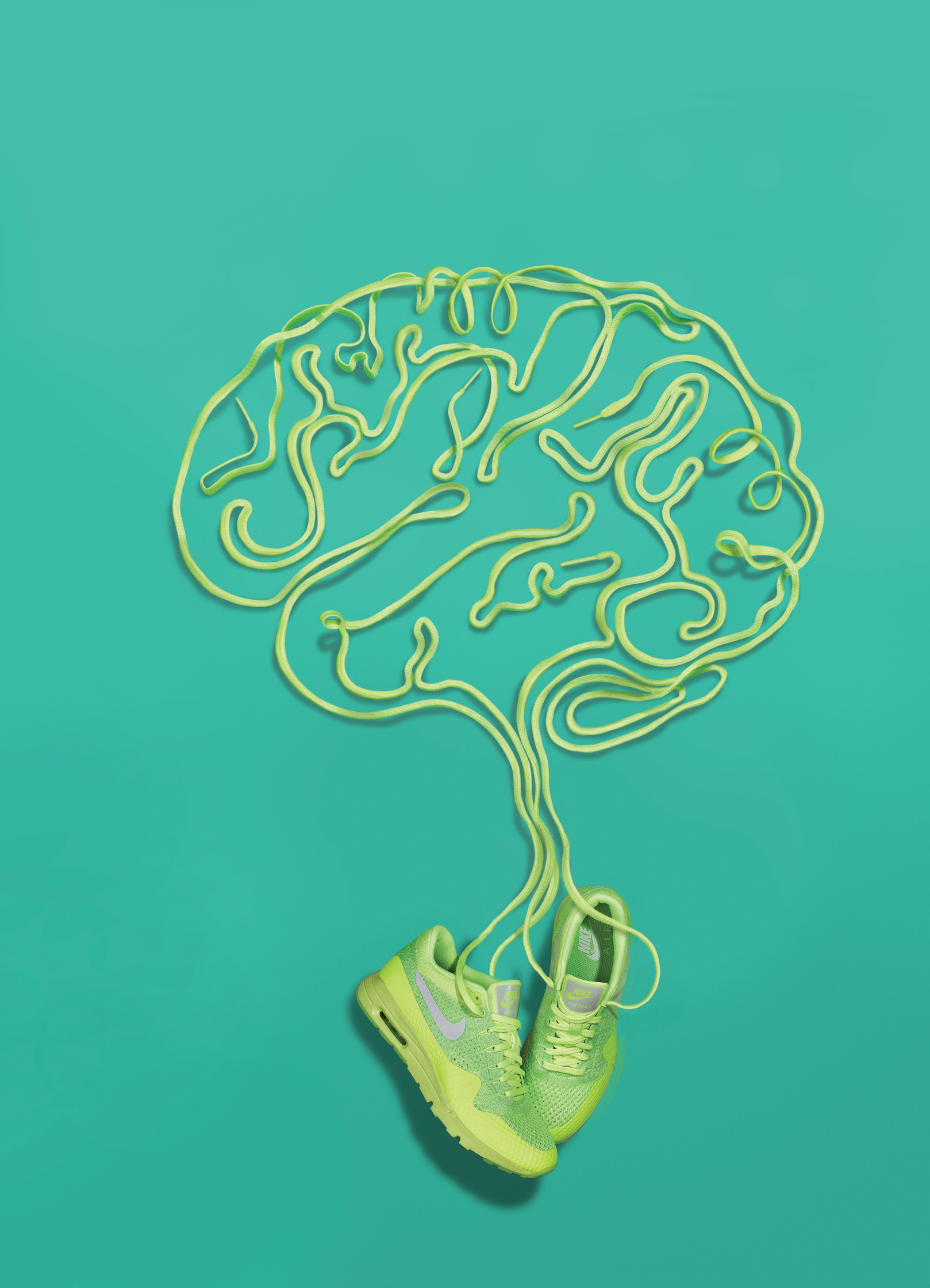Trainer Brain FINAL HR cmyk.jpg
