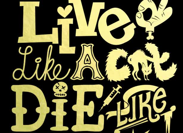 LIVELIKEACAT.jpg