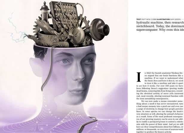 About Trust Magazine_Genealogy of the Brain_Main.jpg