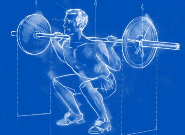 Men's Fitness / Squats