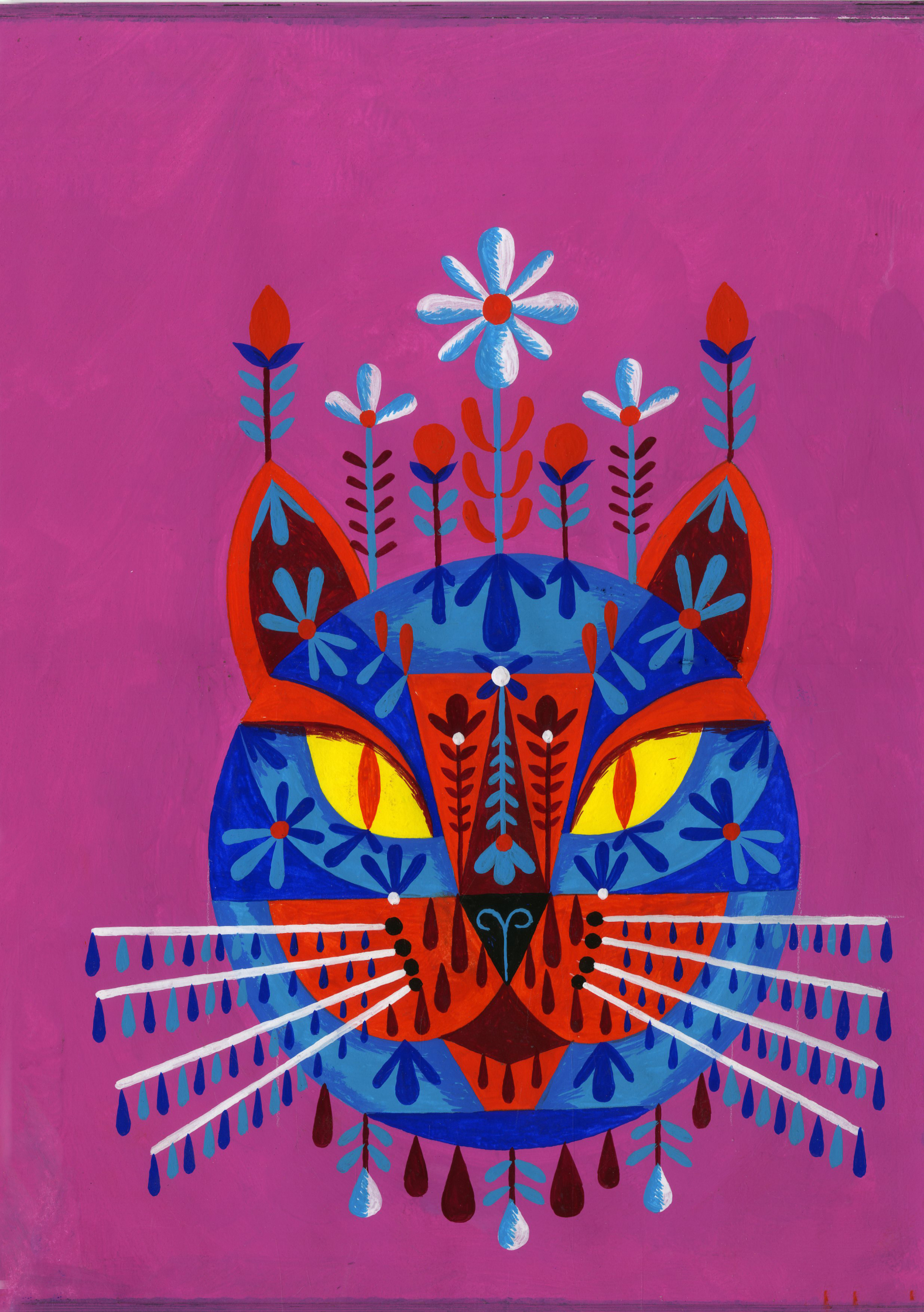 Cat with Whiskers.JPG