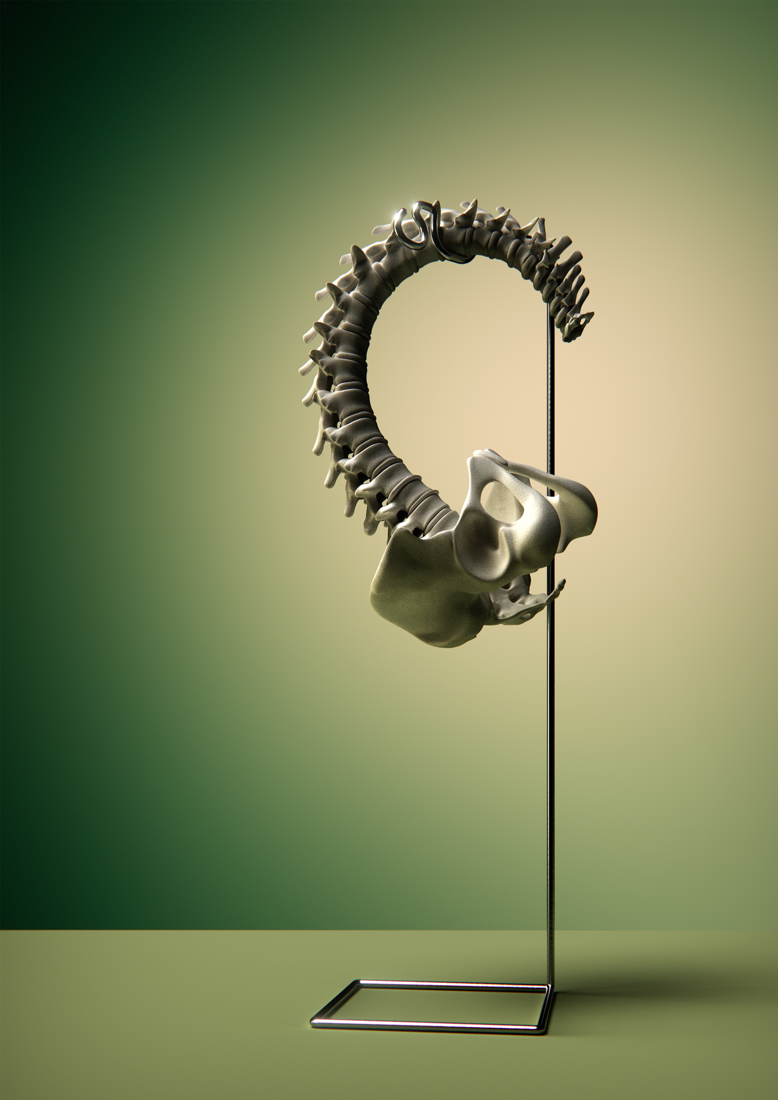 cgi-ear-spine-medicale-mens-health-magazine-crowther.jpg