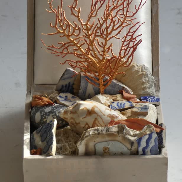 Bonsai culture project 6 / Personal work