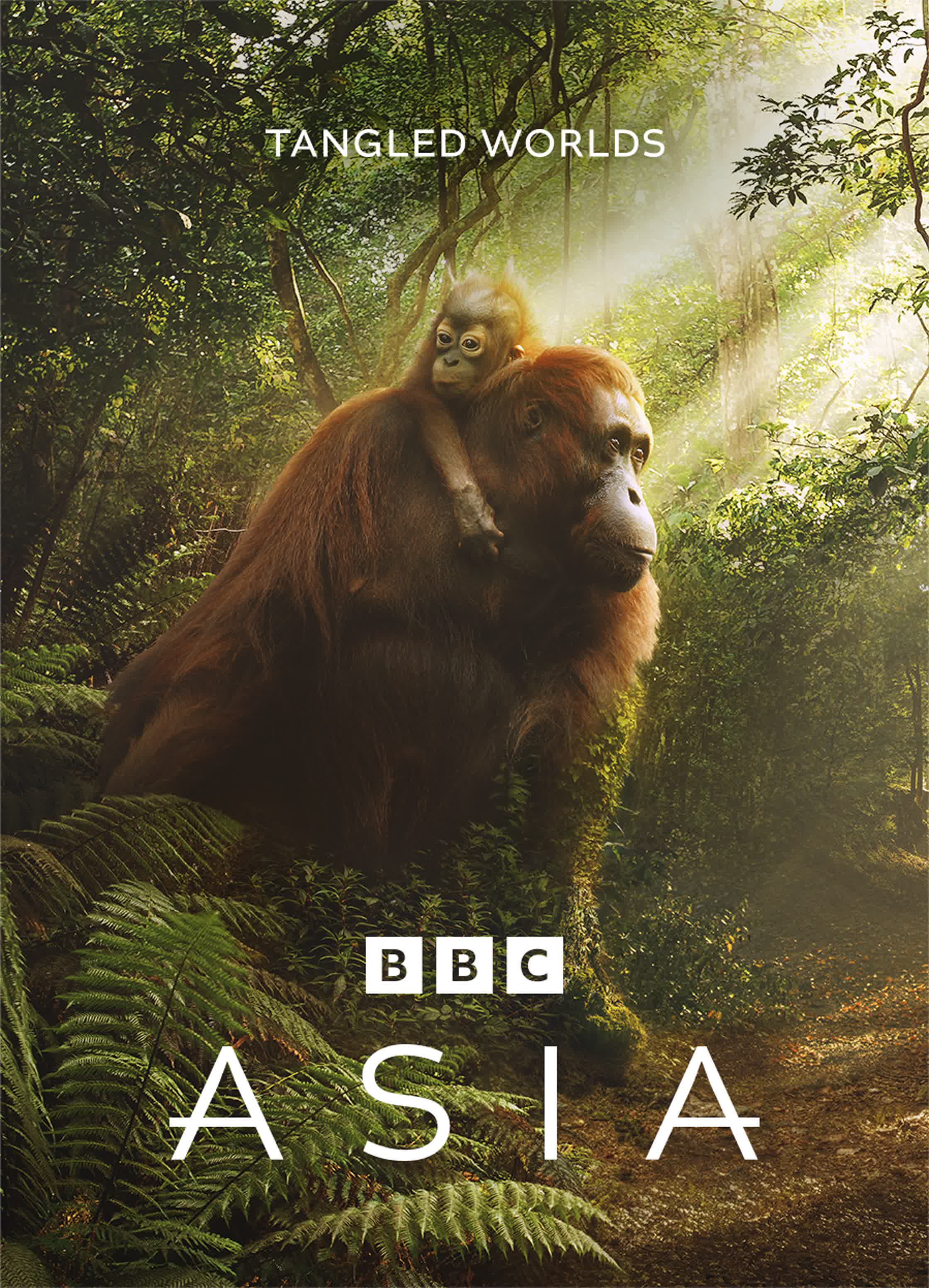 Asia_Ep4_TW_A3_Portrait_297x420mm_72dpi_RGB_AW.jpg