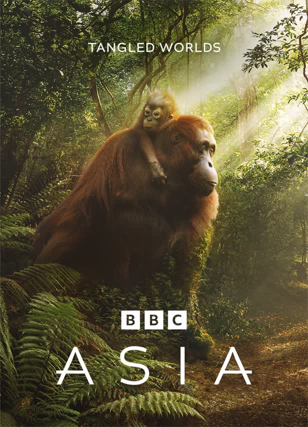 Tangled Worlds / BBC