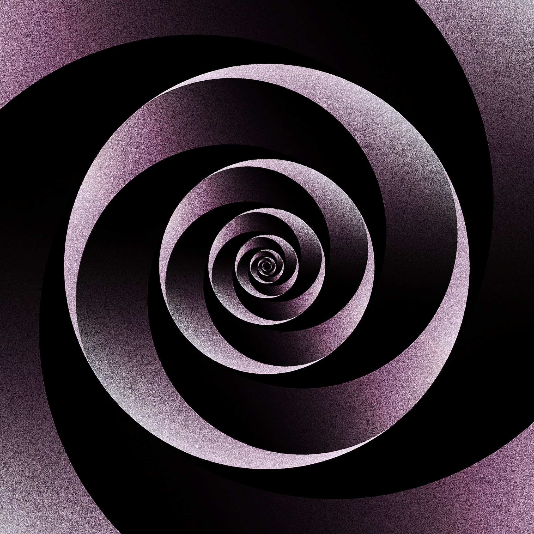 BLACK_ROSE_2048X2048.jpg