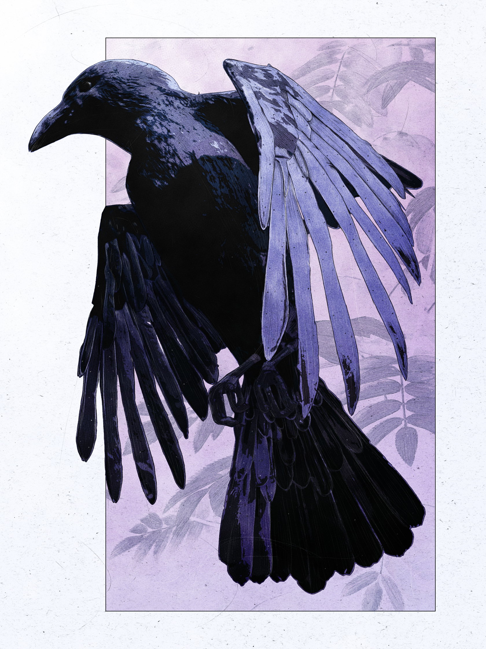 2019_march_raven.jpg