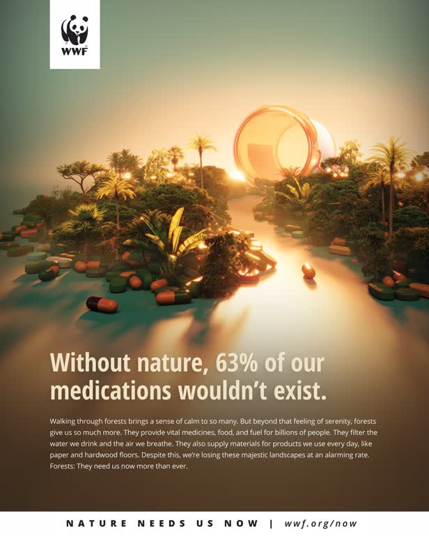 Rain Forest / World Wildlife Fund